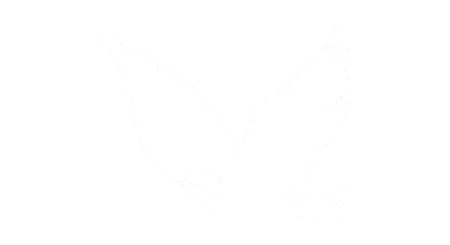 ikona ptak